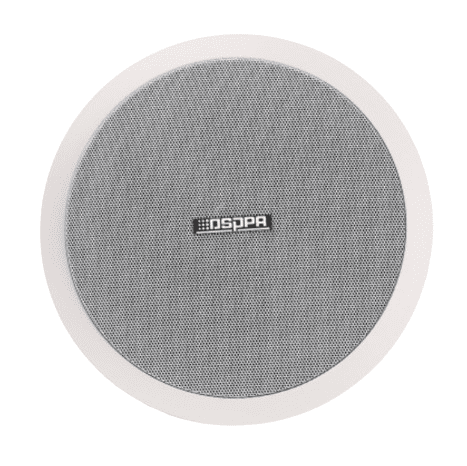 DSP804 _ 8” 30W