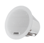 DSP3011C - 3" - 6W